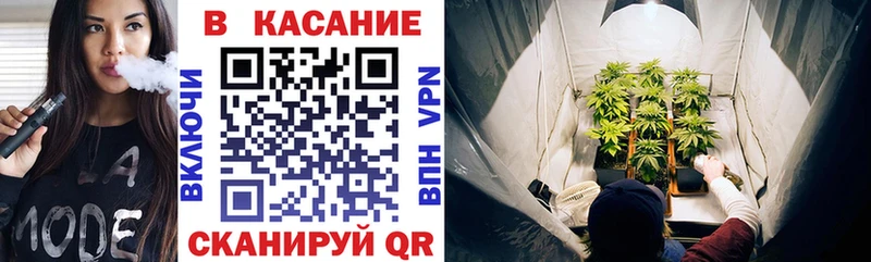 Купить наркоту Снежногорск Амфетамин  Конопля 