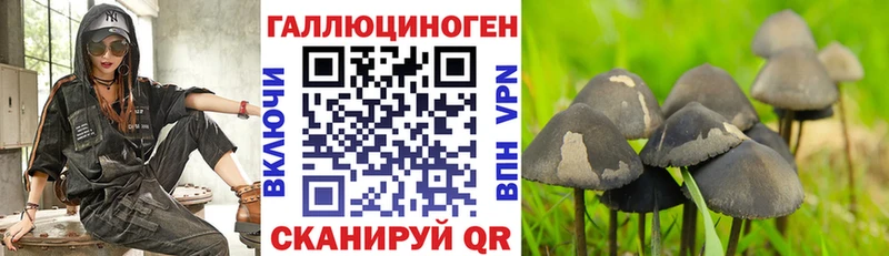 Псилоцибиновые грибы мухоморы Снежногорск